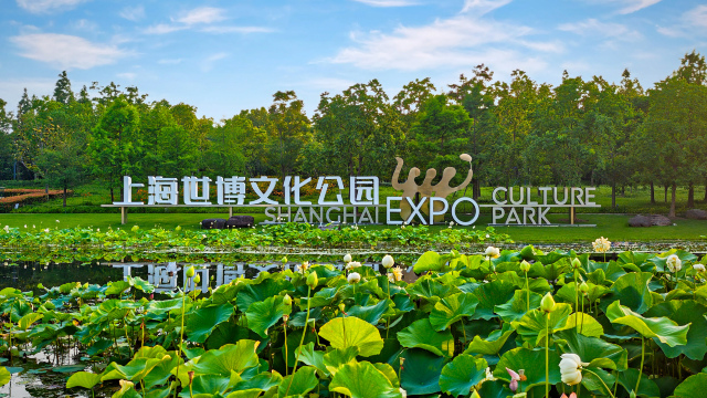Shanghai Expo Culture Park