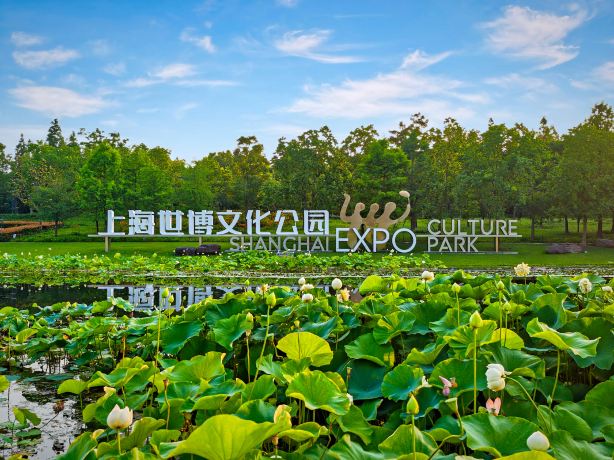 Shanghai Expo Culture Park