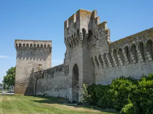 Mura di Avignone