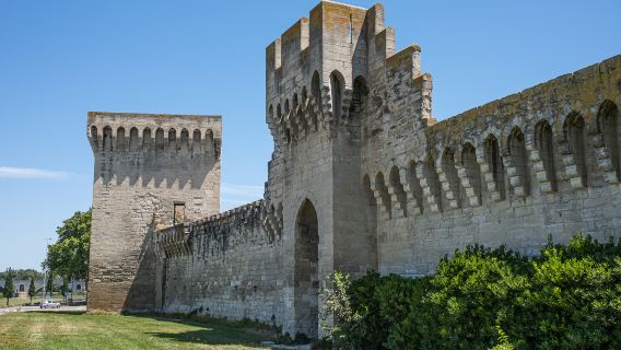 Walls of Avignon