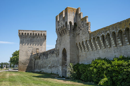 Walls of Avignon