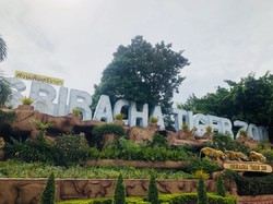 是拉差龍虎園