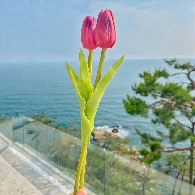 통영의 발코니 '네르하 21'
