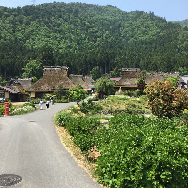 京都旅行！かやぶきの里•美山町へ！