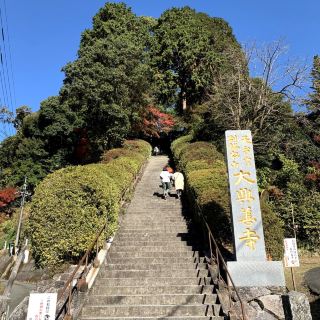 I love #japan ! The colour of red autumn leaves are one of the best. And Daikozenji Temple (大興善寺) is out of nowhere, mainly for locals. Climb the stairs, step by step leading to the top of the mountain. It’s so Zen, really chill and calm in the temple. It’s like a garden in the mountain. They have remarkable area of autumn leaves, with a palette of changing colours, green, yellow, orange, red 😍 

Address: 3628 Sonobe, Kiyama, Miyaki District, Saga 841-0203, Japan

Opening: 0830 ~ 1730