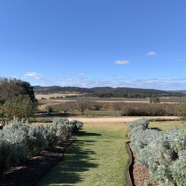 Mudgee wine region in NSW  