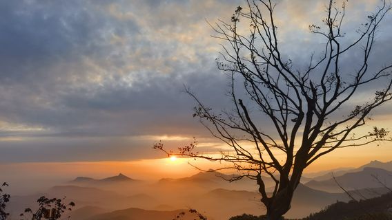 juan niao gui chao · lou yun nuo mei shi guang ying di