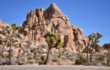 Joshua Tree National Park