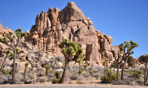 Joshua Tree National Park