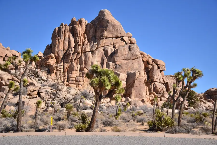 Vườn quốc gia Joshua Tree