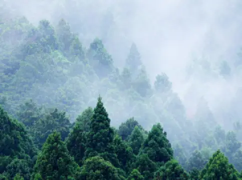 สวนสาธารณะแห่งชาติหลาซาน