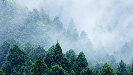 臘山國家森林公園