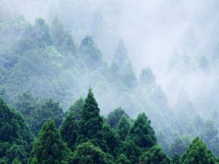 東平のおすすめ旅館