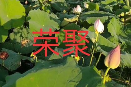 宜章县荣聚种养专业合作社