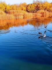 Nanhu Lake