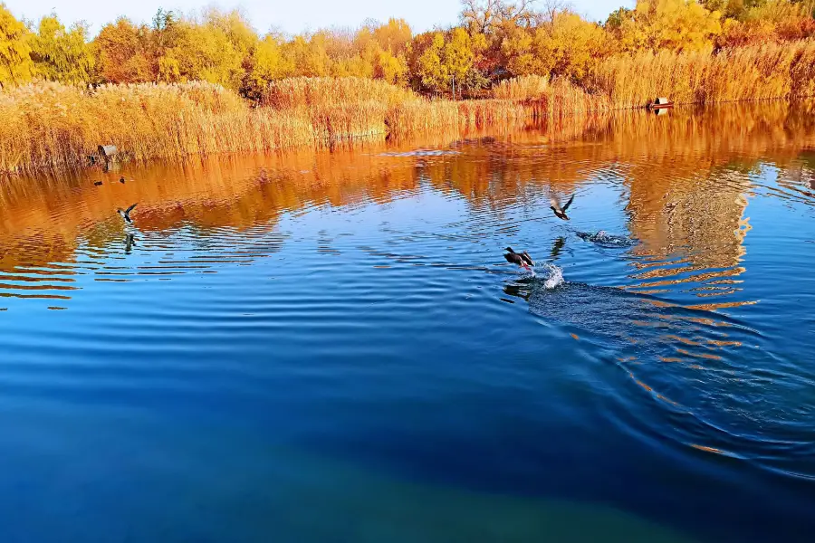 Nanhu Lake