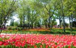 베이징 식물원