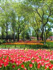 Botanischer Garten Peking