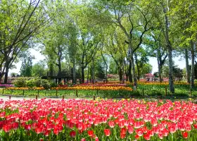 Beijing Botanical Garden