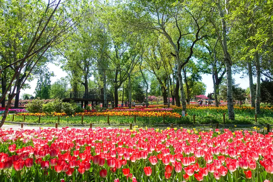 國家植物園(原北京植物園)