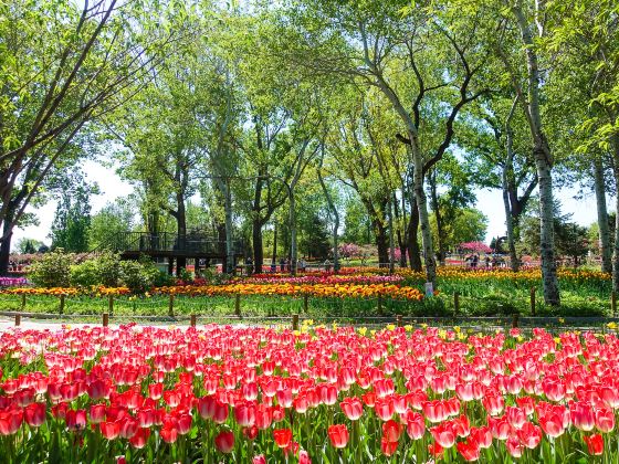 Beijing Botanical Garden