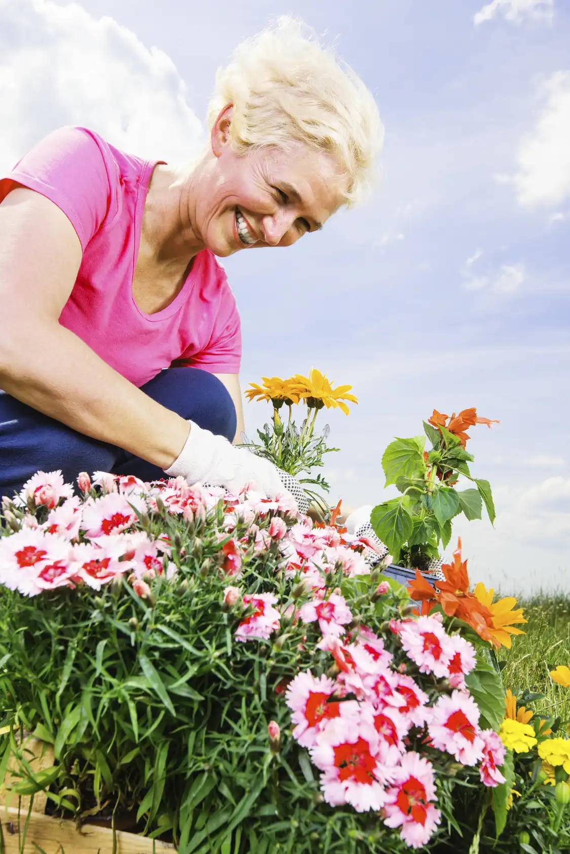 Hotel in zona Herb & Spice Garden