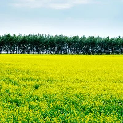 5-звездочные отели в г. Чжанцзяган