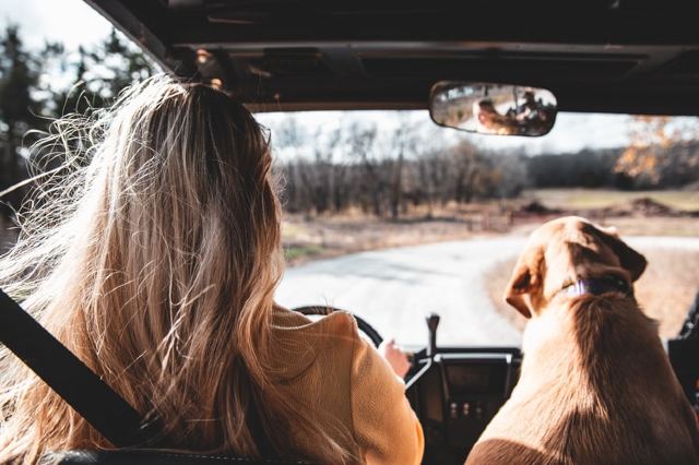 Travelling from the UK to EU countries from 1 January 2021