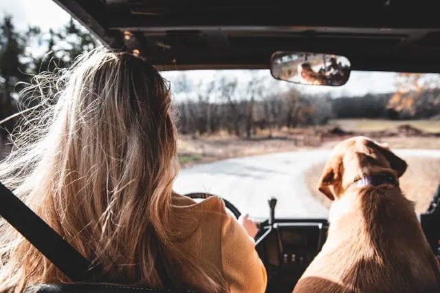 Travelling from the UK to EU countries from 1 January 2021