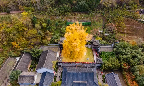Ancient Guanyin Zen Temple
