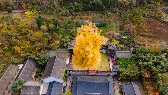 Ancient Guanyin Temple