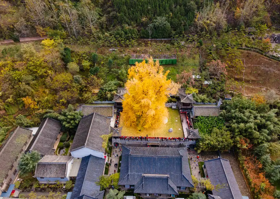 1_Ancient Guanyin Temple