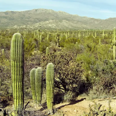 Các khách sạn ở Tucson