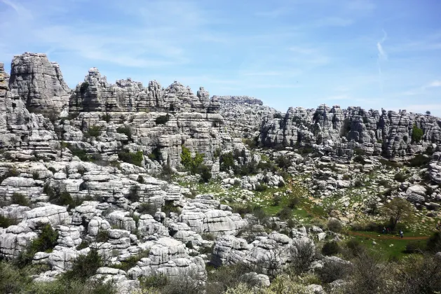 阿蘇の仙酔峡のミヤマキリシマ・高岳のミヤマキリシマ周辺のホテル