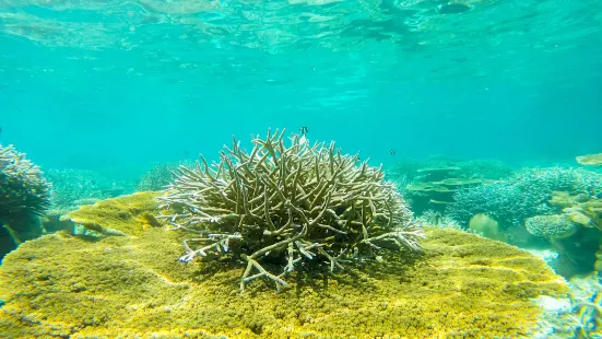 Singamata Reef Resort