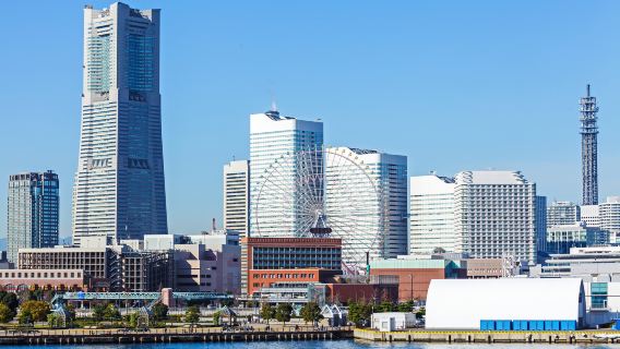 東京-橫濱定制包車一日遊【中文司機-行程可定制多日】