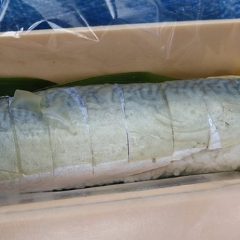 Ekibenya Odori User Photo