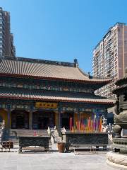 Shenyang Dafa Temple