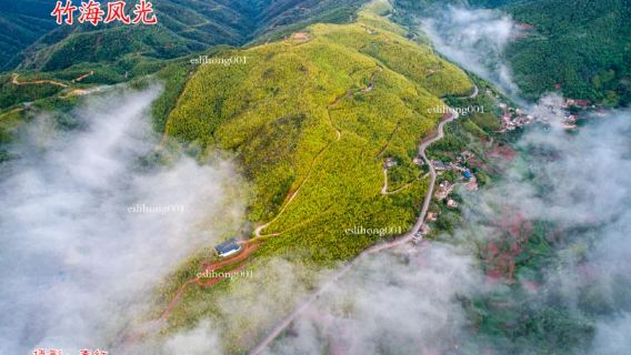 Eshan Yi Valley Bamboo Sea Scenic Area