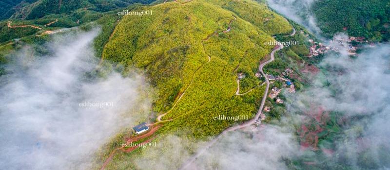 Yu Zhu Feng Hai Scenic Area