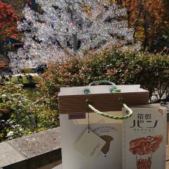 Sagamiya 여행 사진
