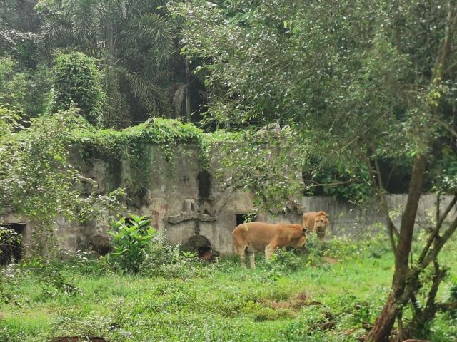 Hainan Tropical Wildlife Park