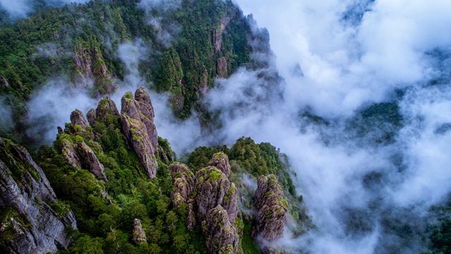 Shennong Peak Scenic Area