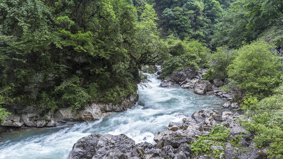 滎經日遊