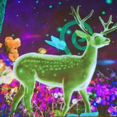 大成海鲜烧烤(打浦桥店) User Photo