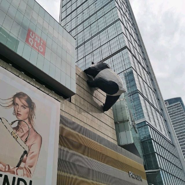 Adorable pandas in Chengdu