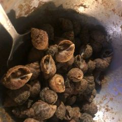 1961海鮮碳烤 User Photo