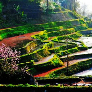 Niujiao Zhai Scenic Area