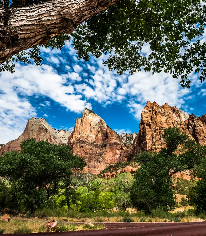 Zion National Park