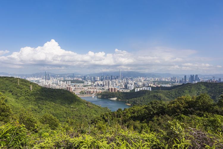 塘朗山公园景点图片